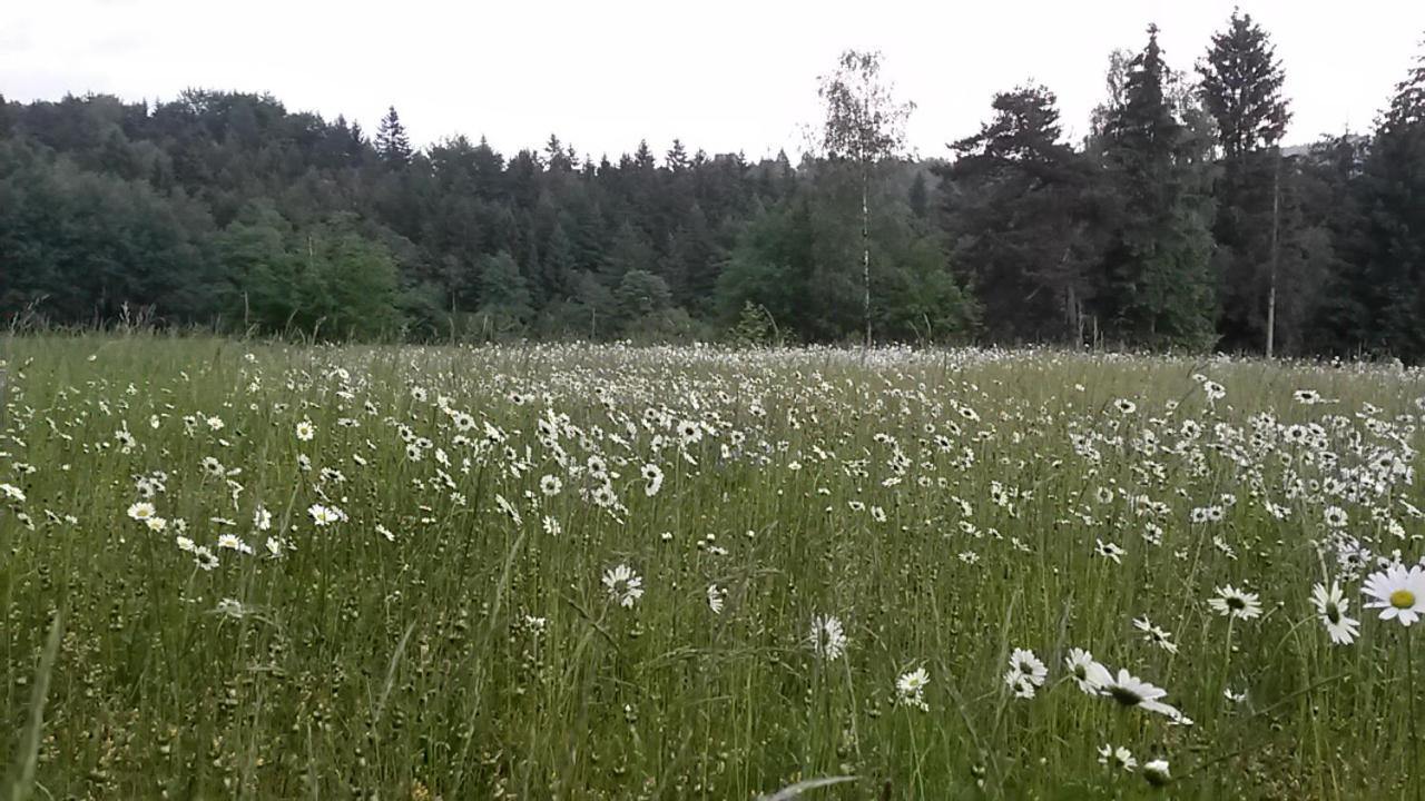 Pochebachhaeusl Villa Kurort Jonsdorf Exteriör bild